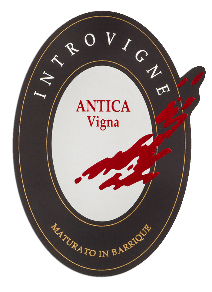 Intro Vigne - antica vigna