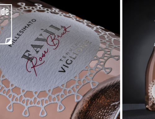 Favil: ¿ Cómo la hemos creado ?