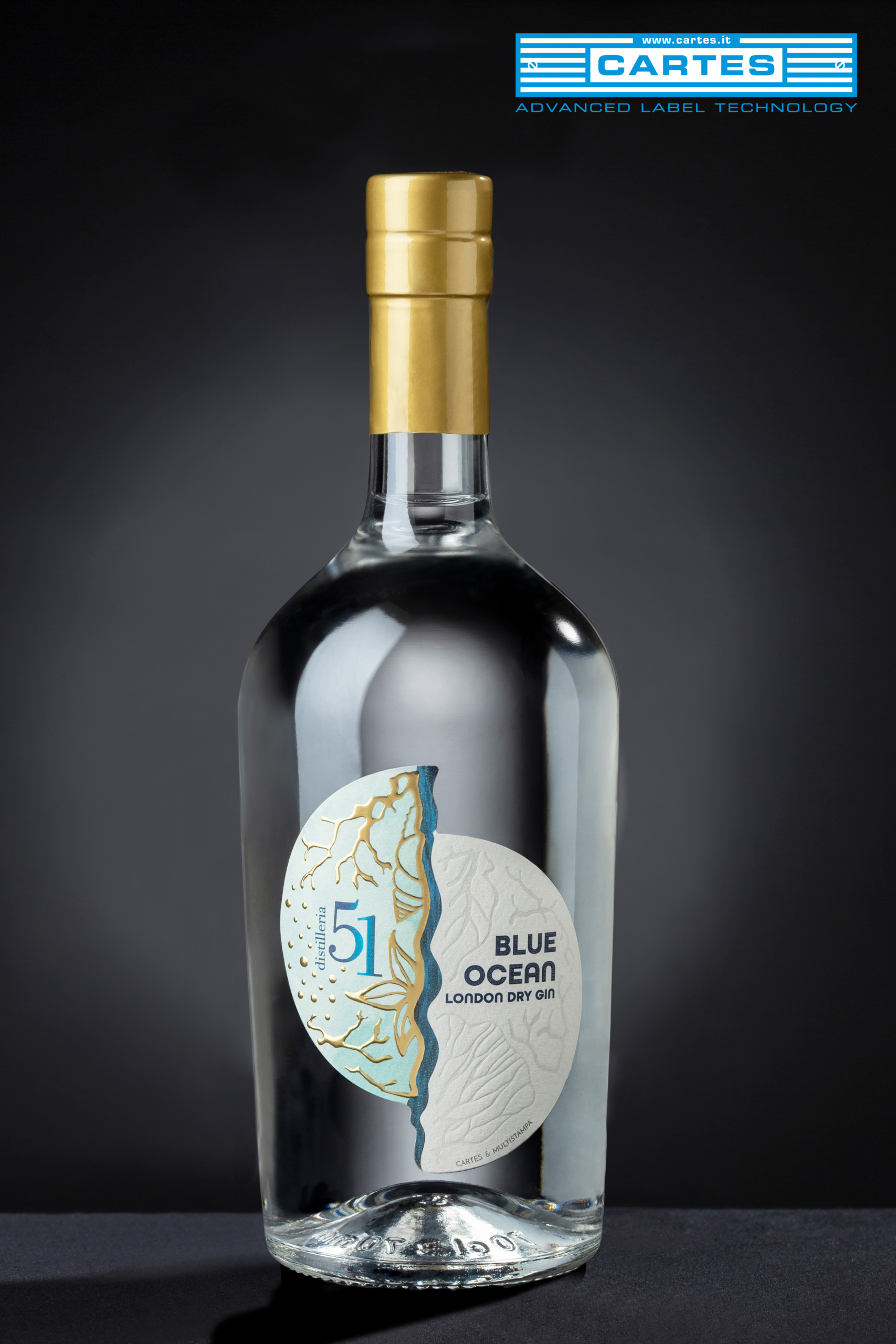 189-51BluOcean_01_logo