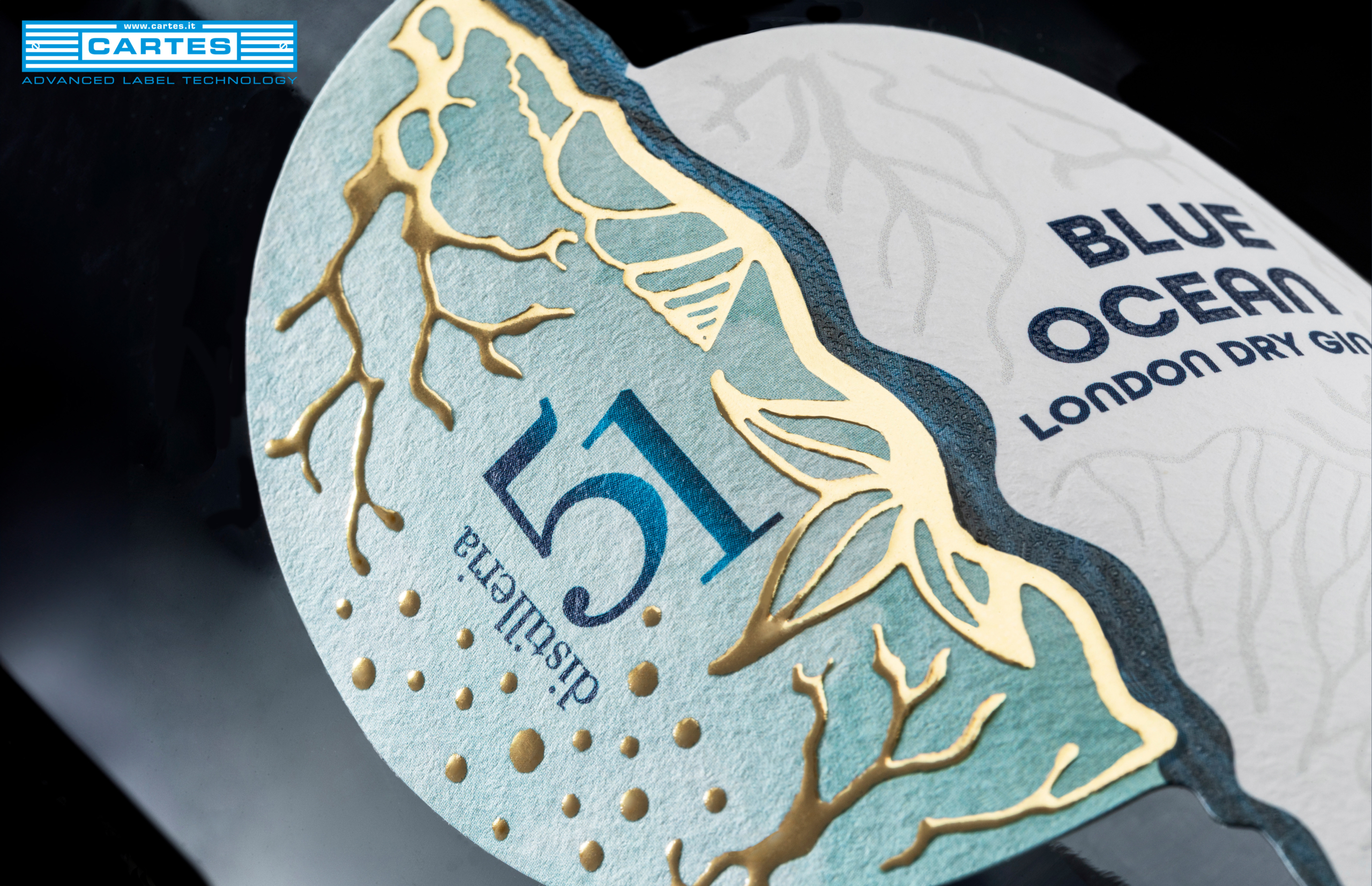 189-51BluOcean_04_logo