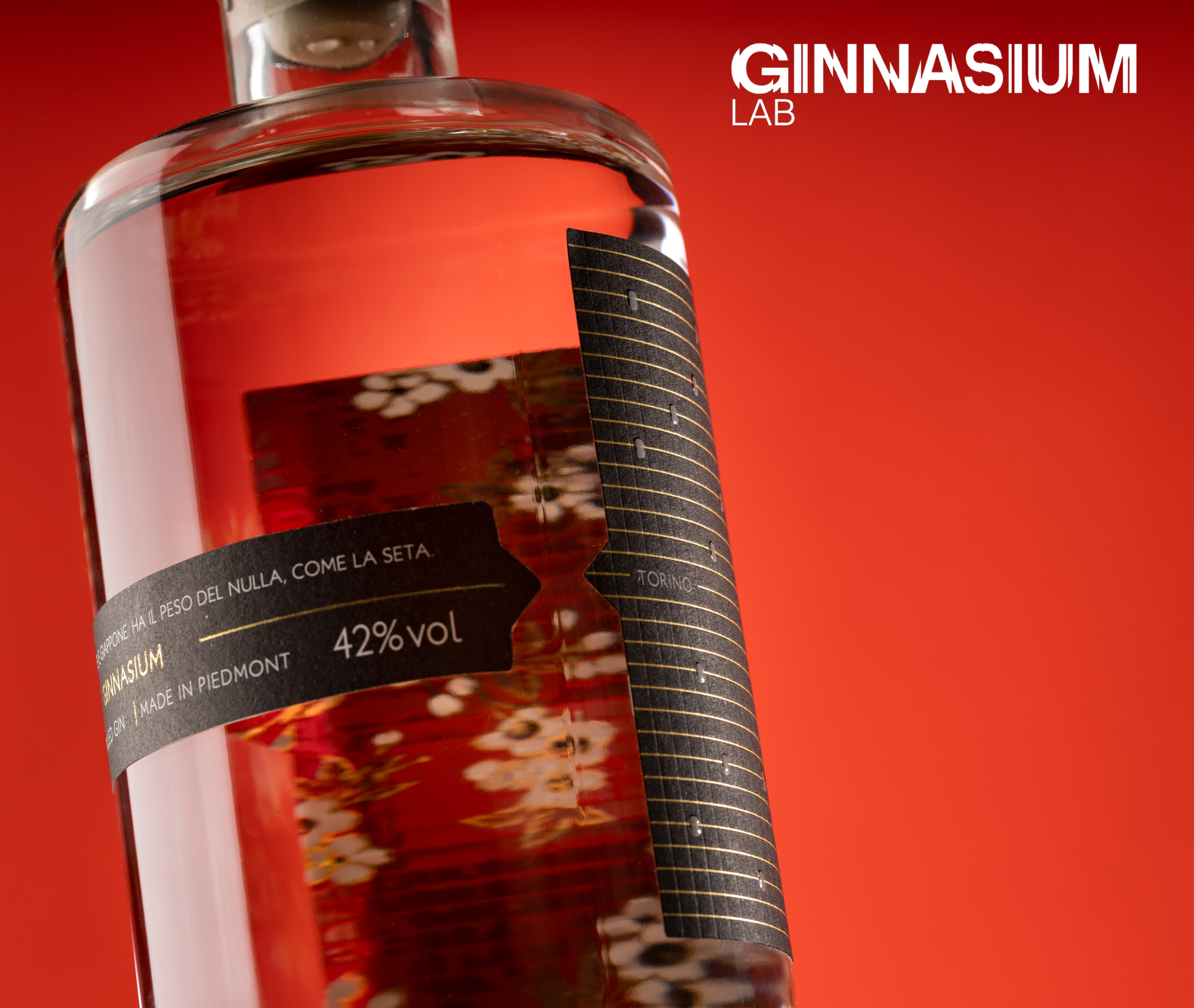 GIN_H2A1394 piemonte